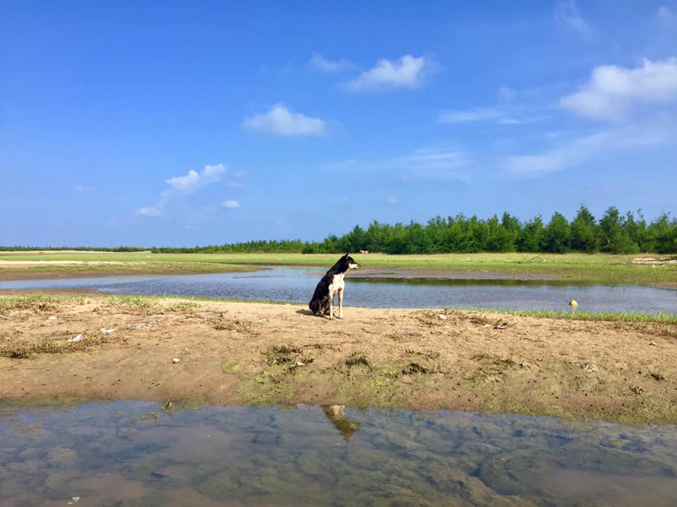 travel diary