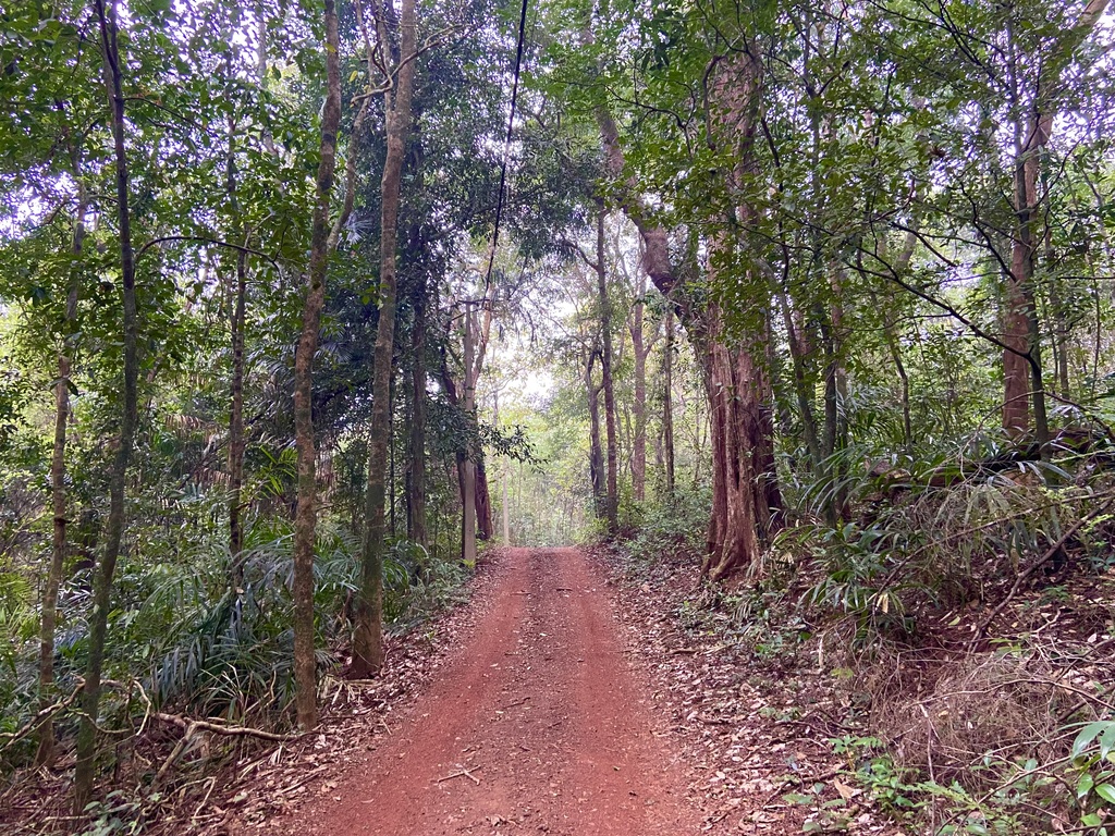 travel diary