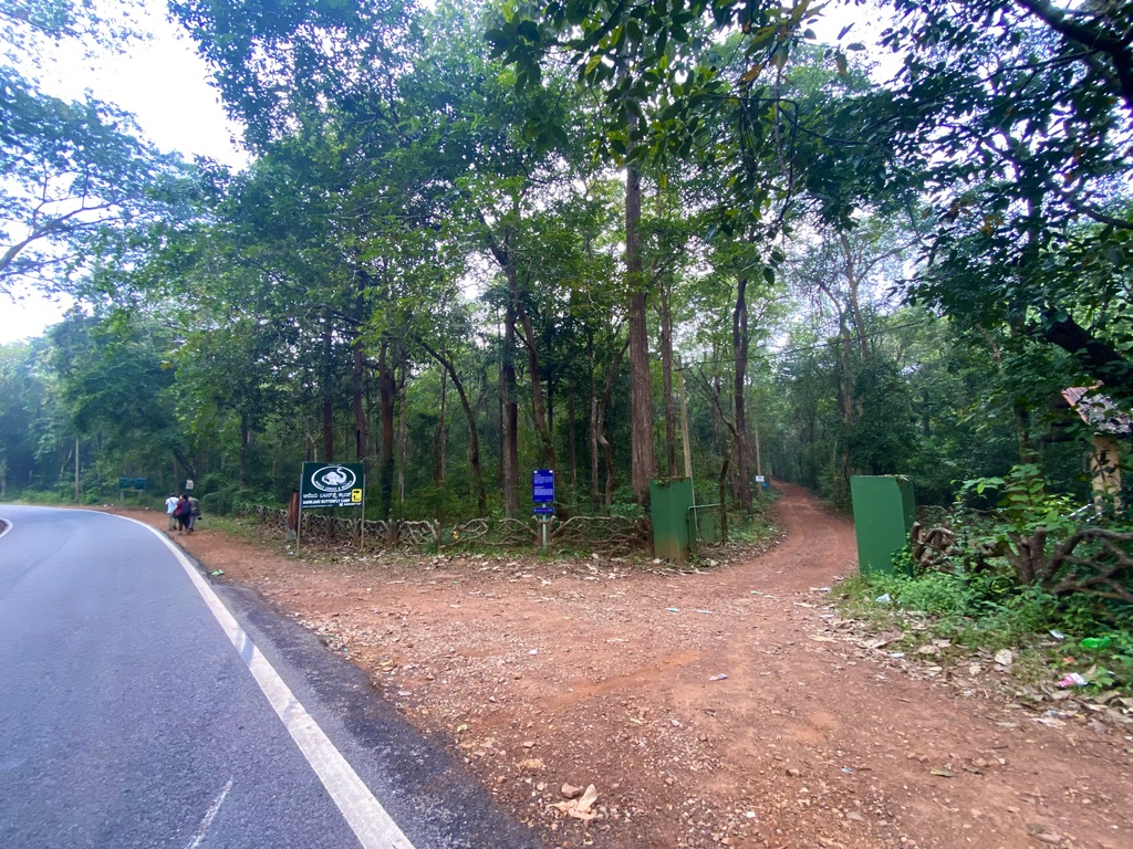 travel diary