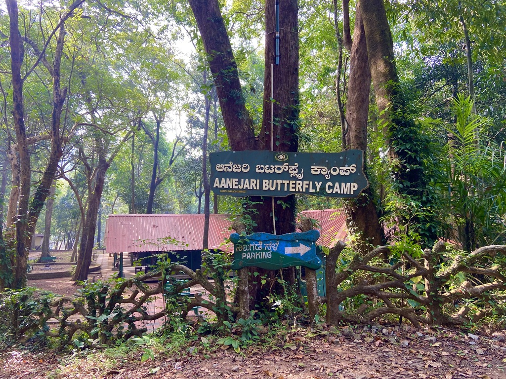 travel diary