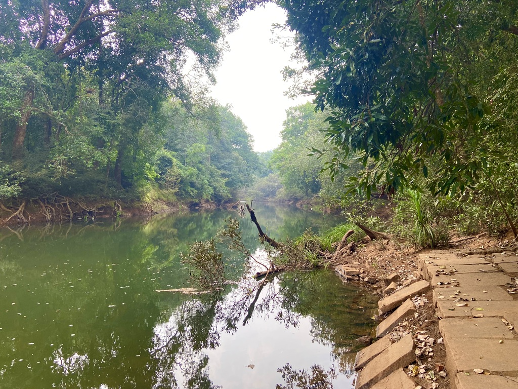 travel diary