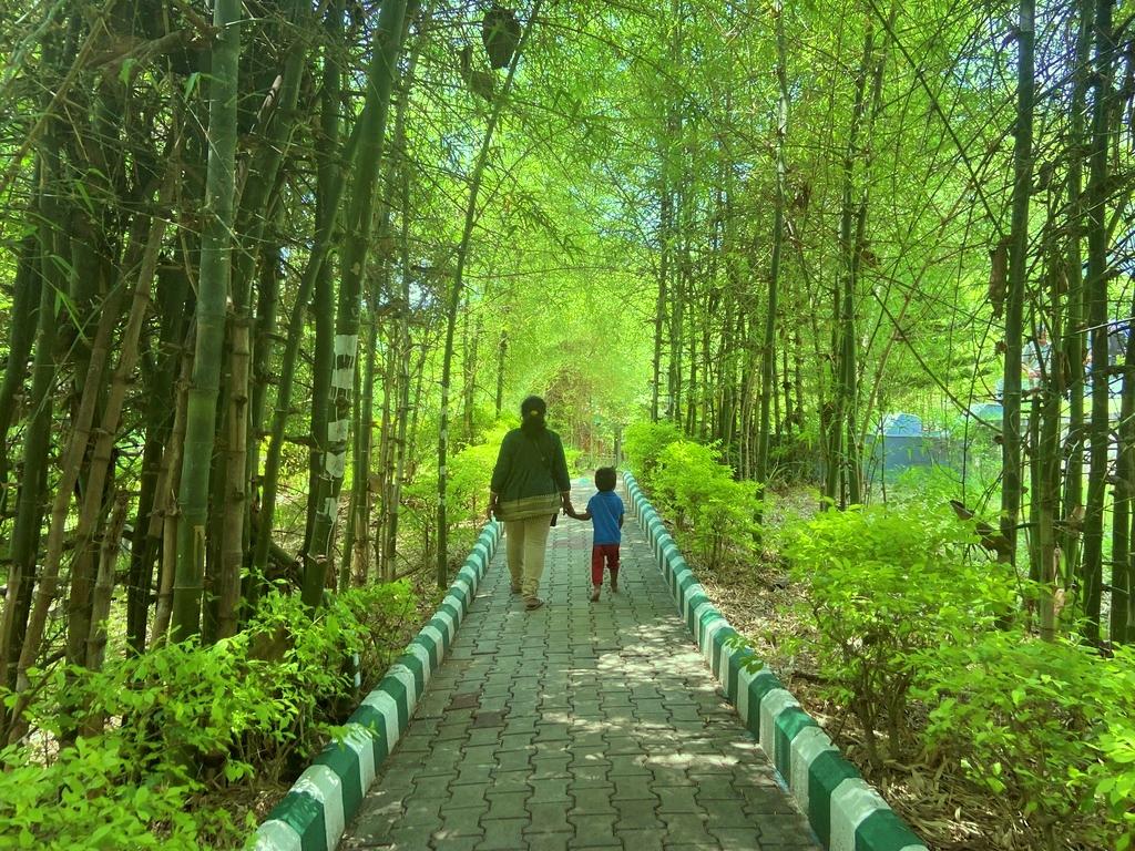 travel diary