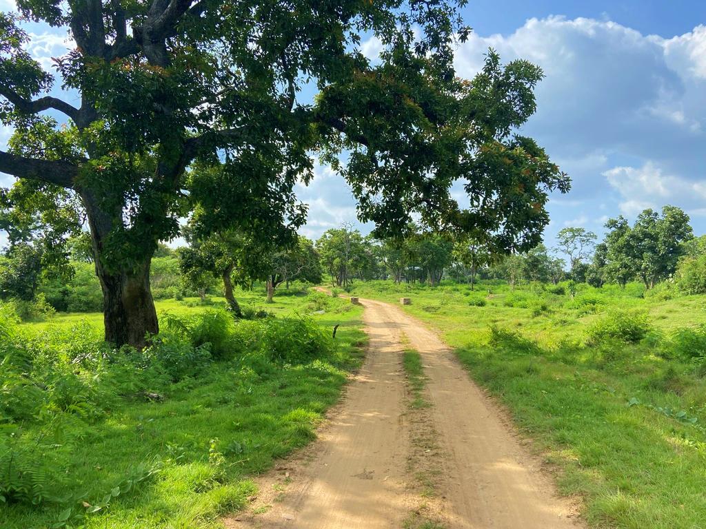 travel diary