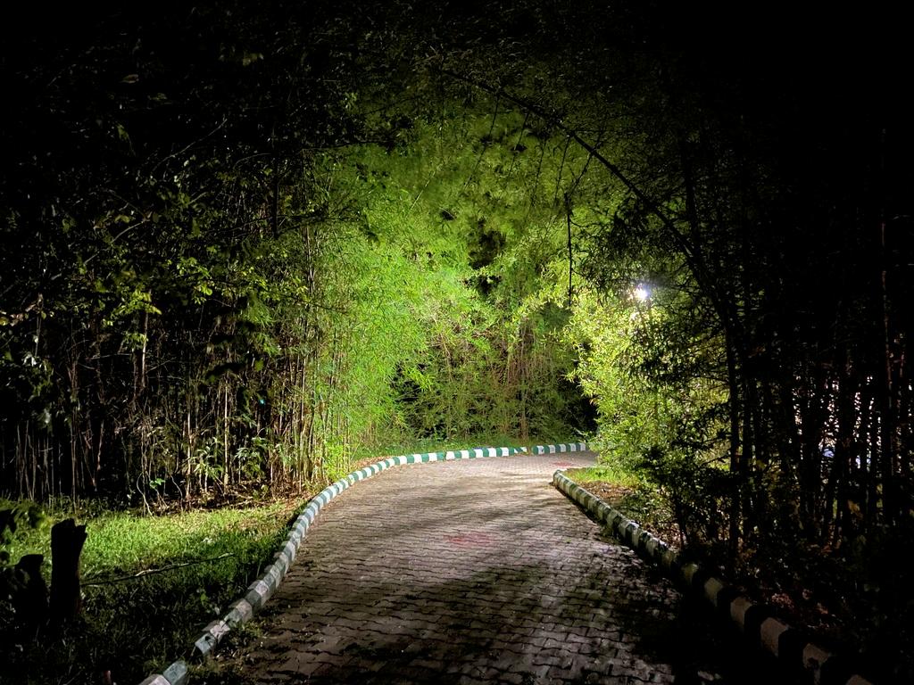 travel diary