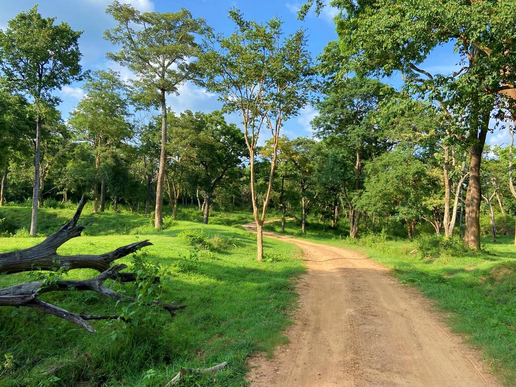 travel diary