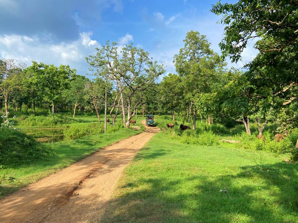 travel diary
