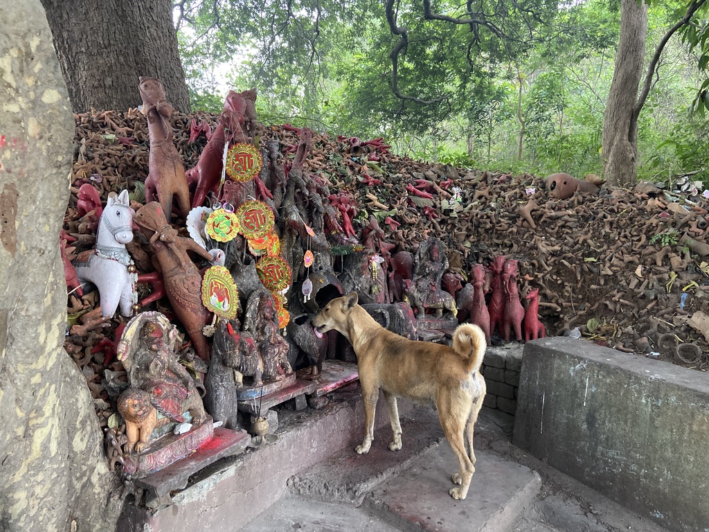 travel diary