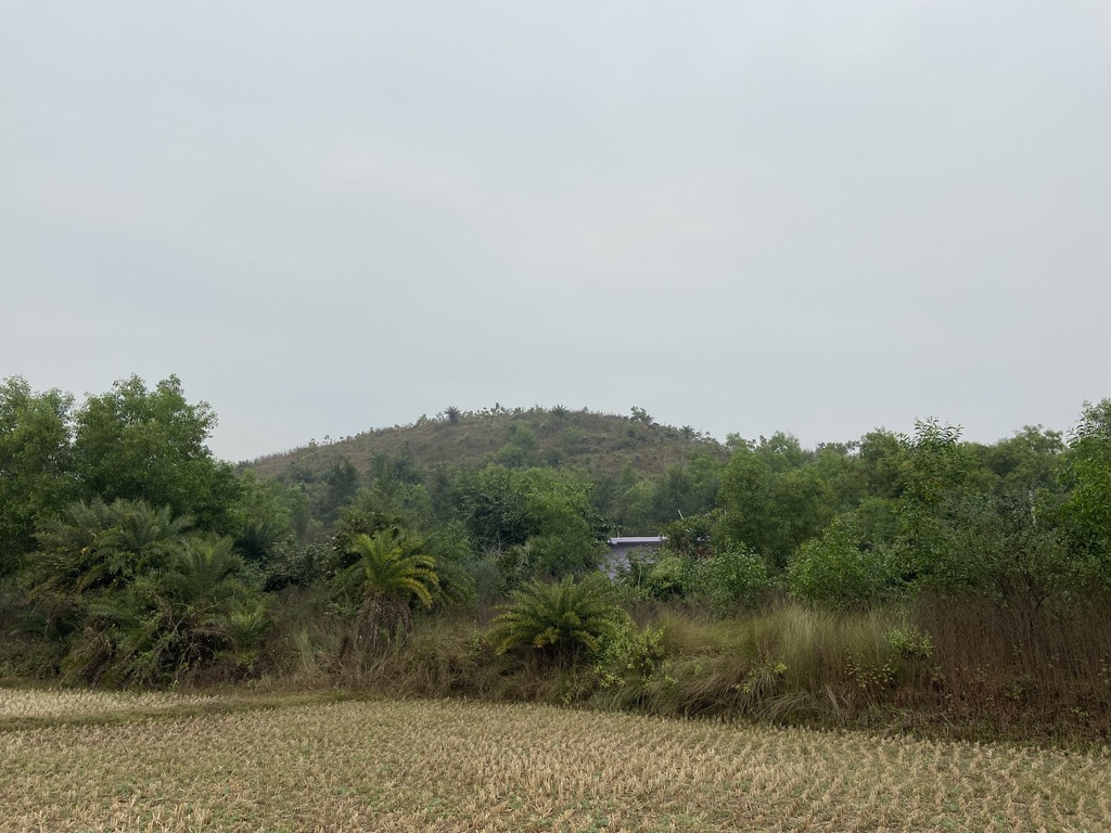 travel diary