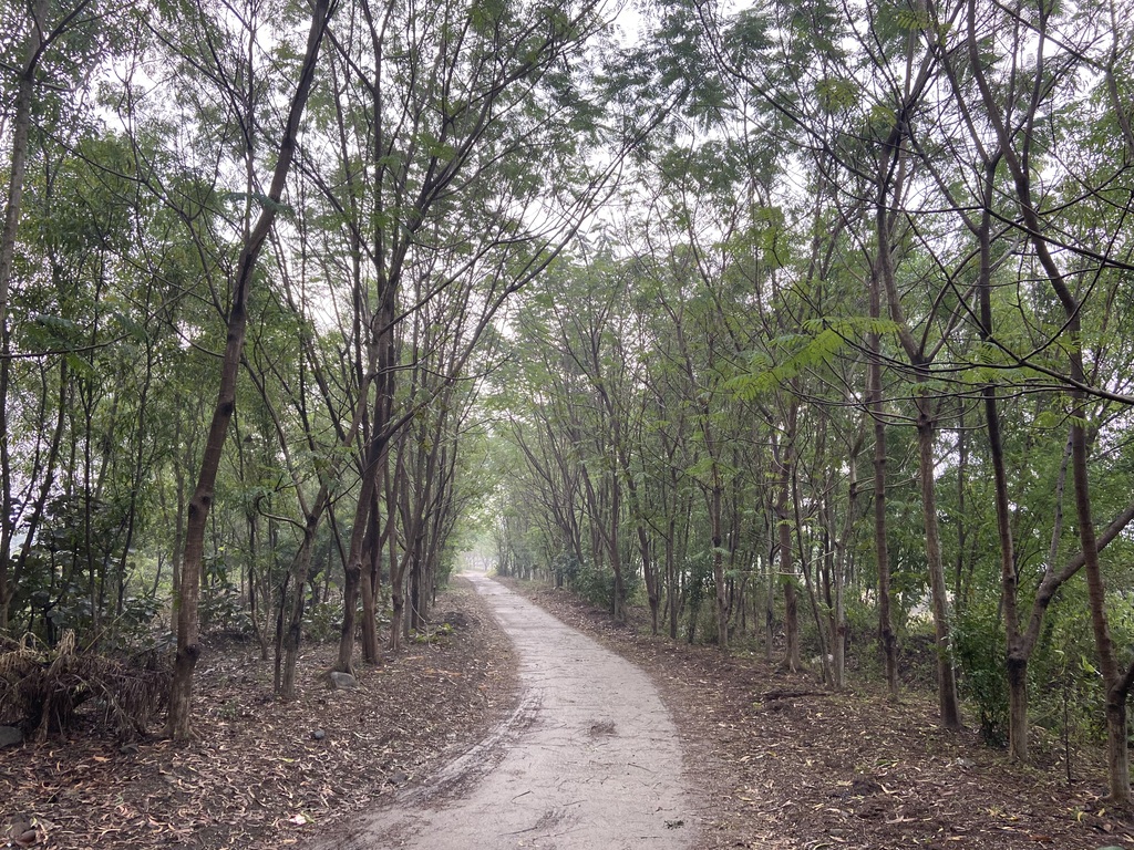 travel diary