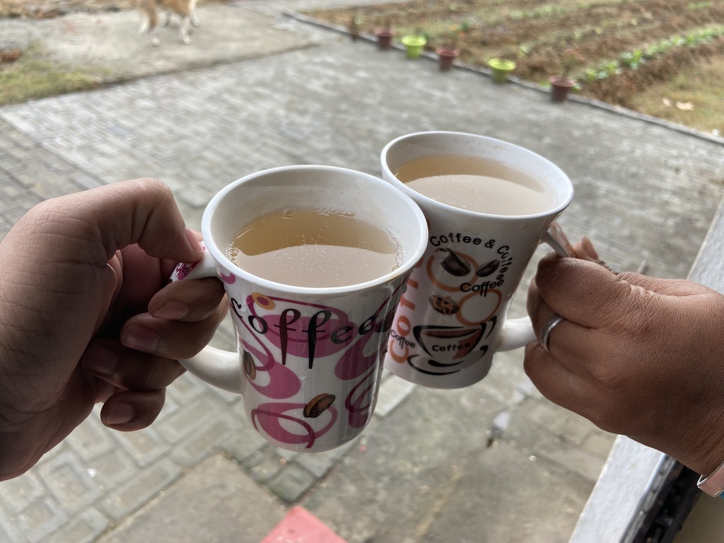 travel diary