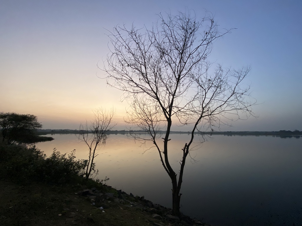 travel diary