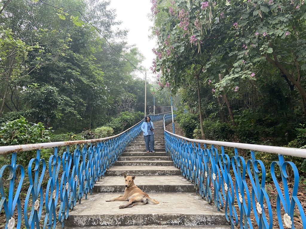 travel diary