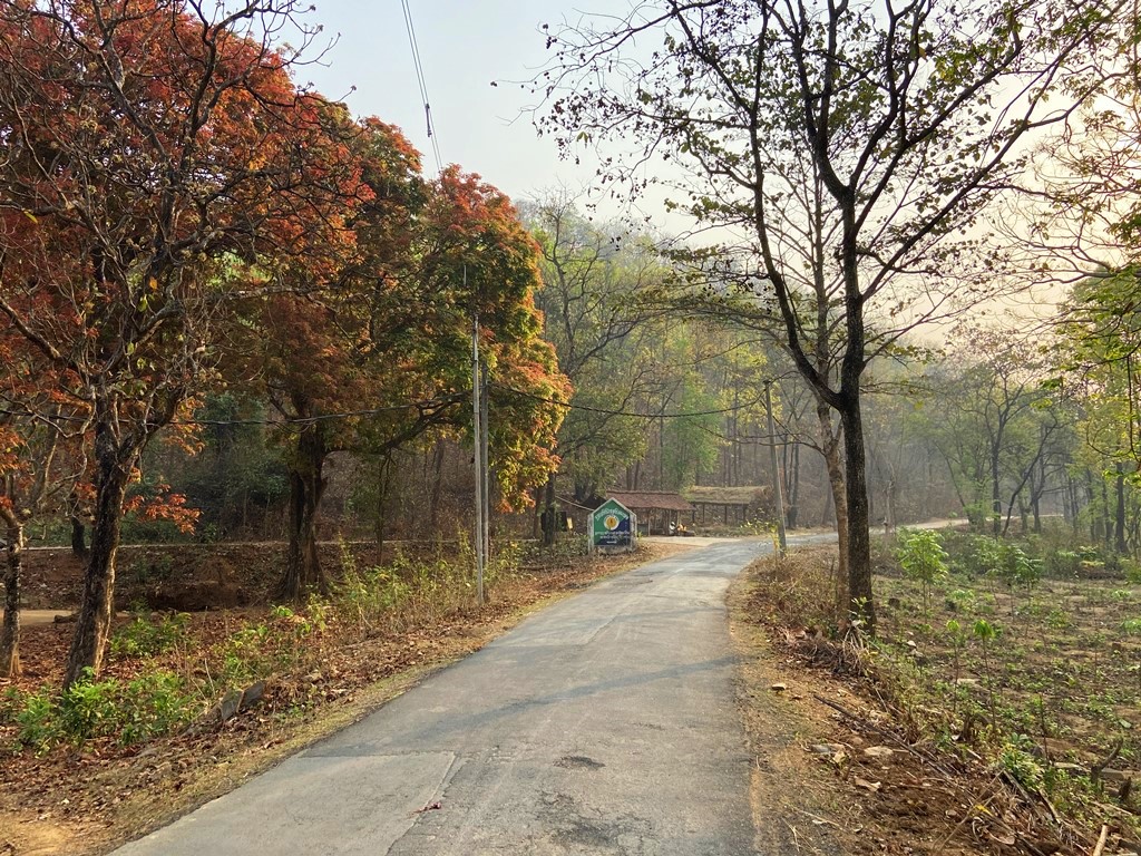travel diary