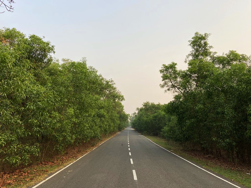 travel diary