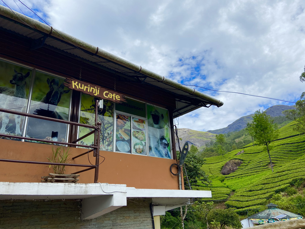 travel diary