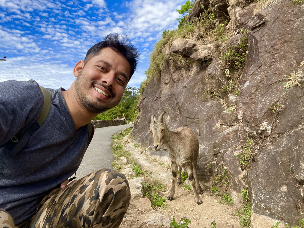travel diary