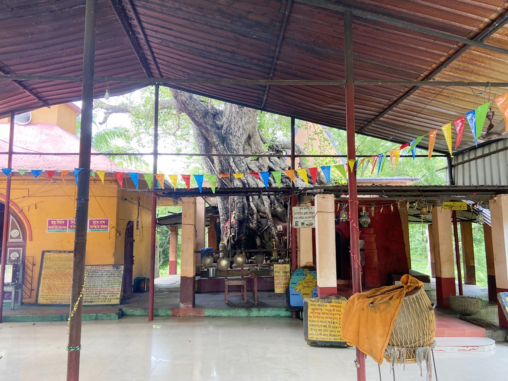 travel diary