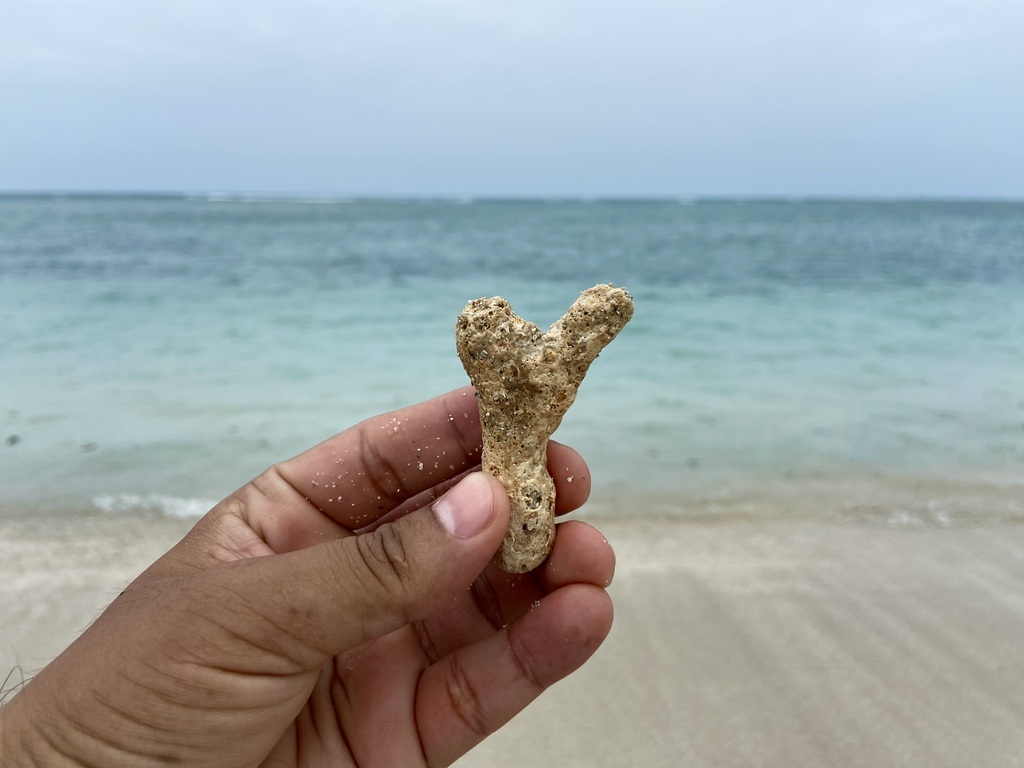 travel diary