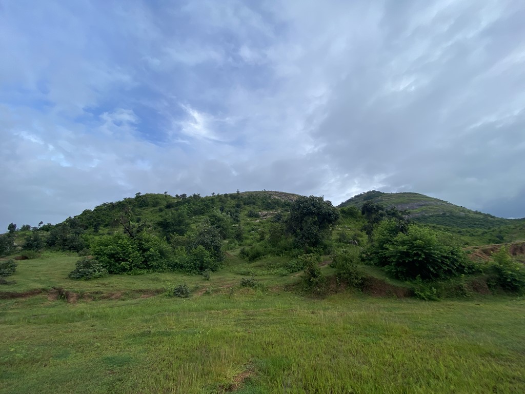 travel diary