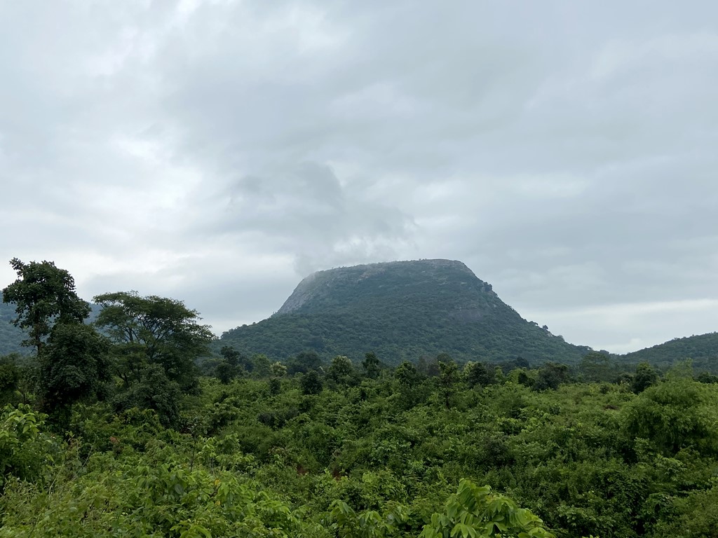 travel diary