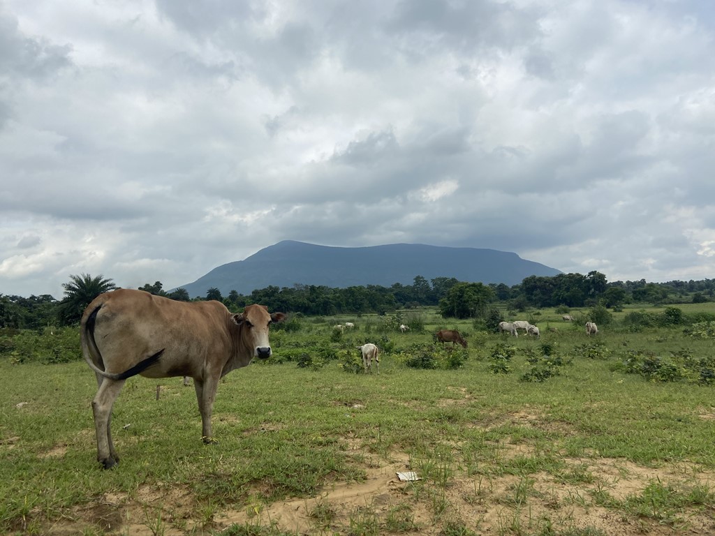travel diary