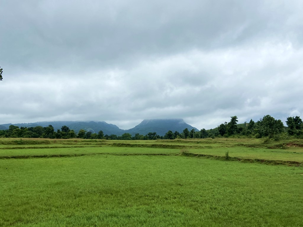 travel diary
