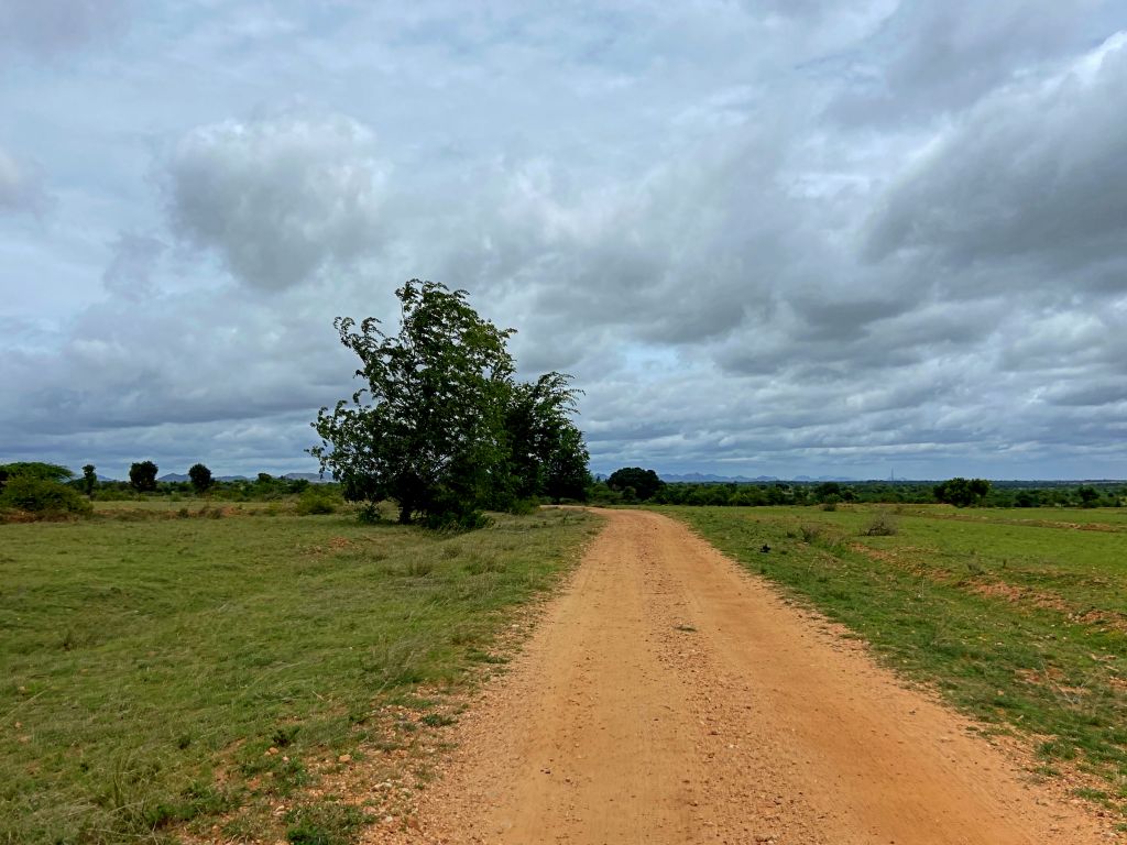 travel diary