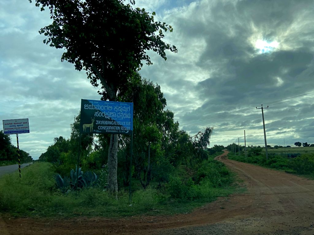 travel diary