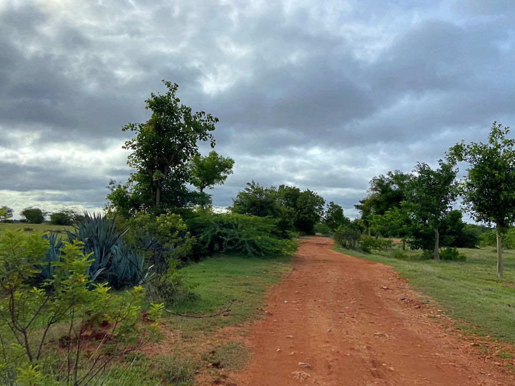 travel diary
