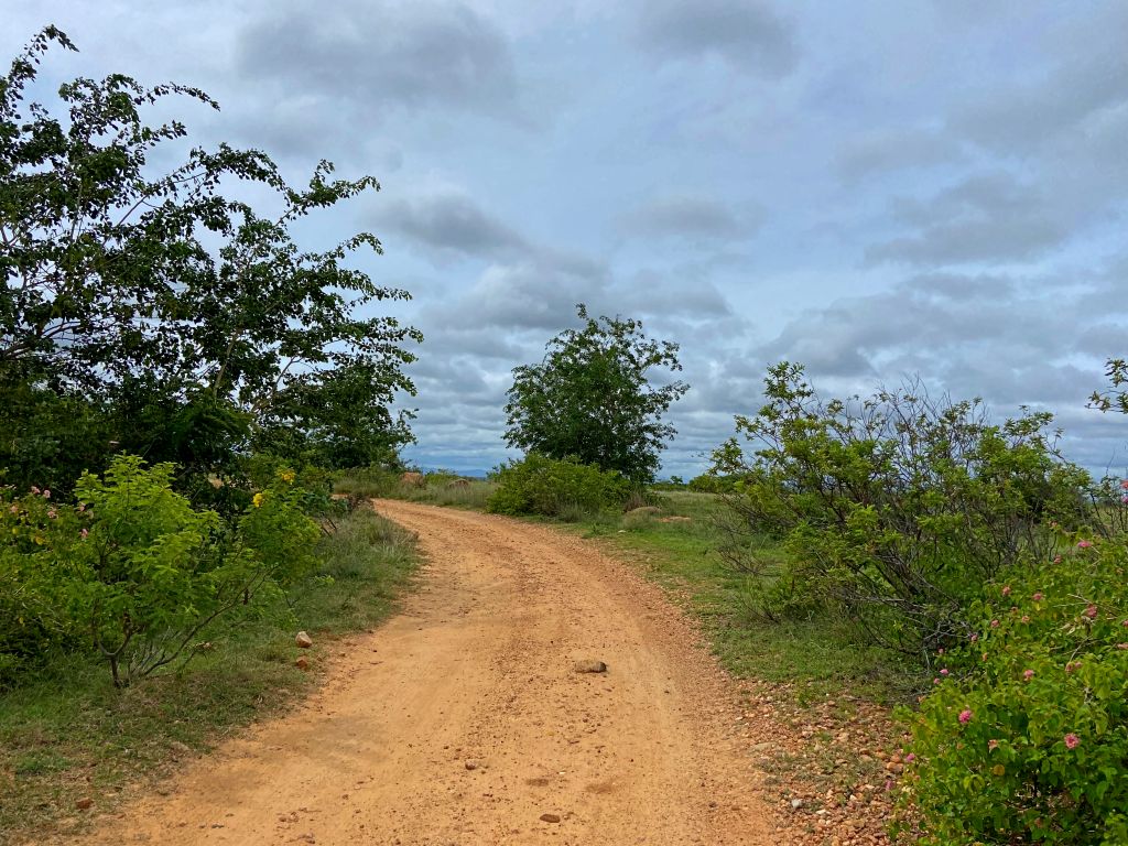 travel diary
