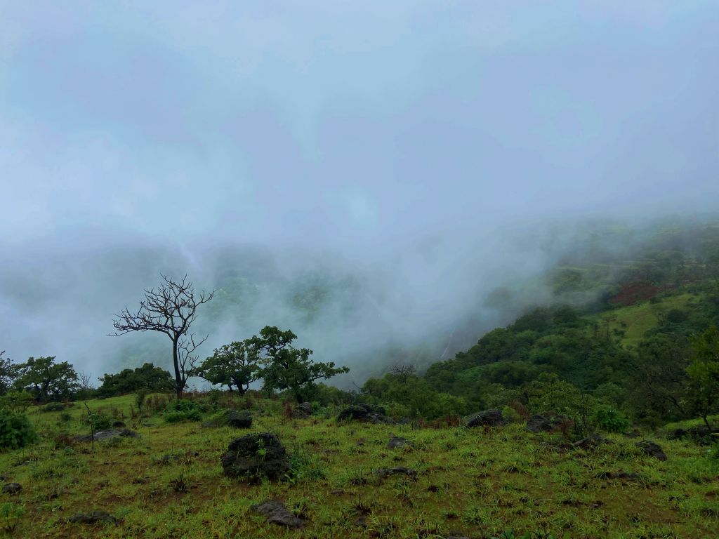 travel diary