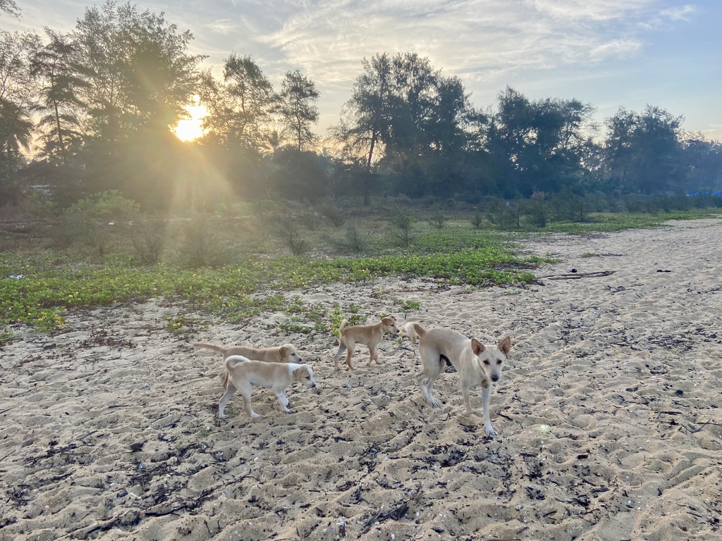 travel diary
