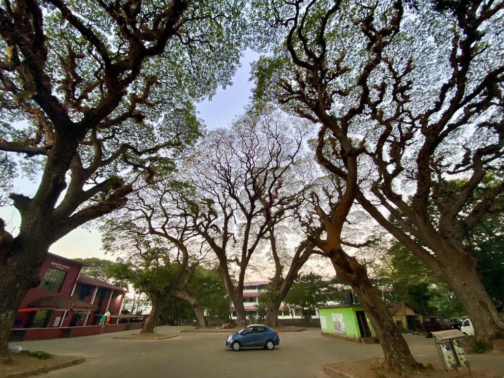 travel diary