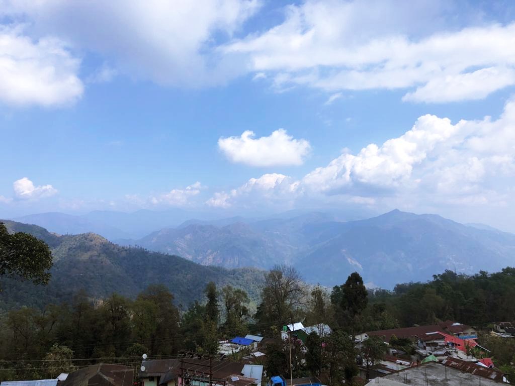 travel diary