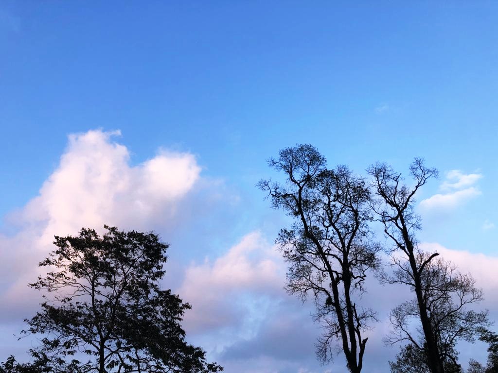 travel diary