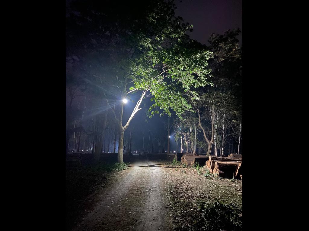travel diary