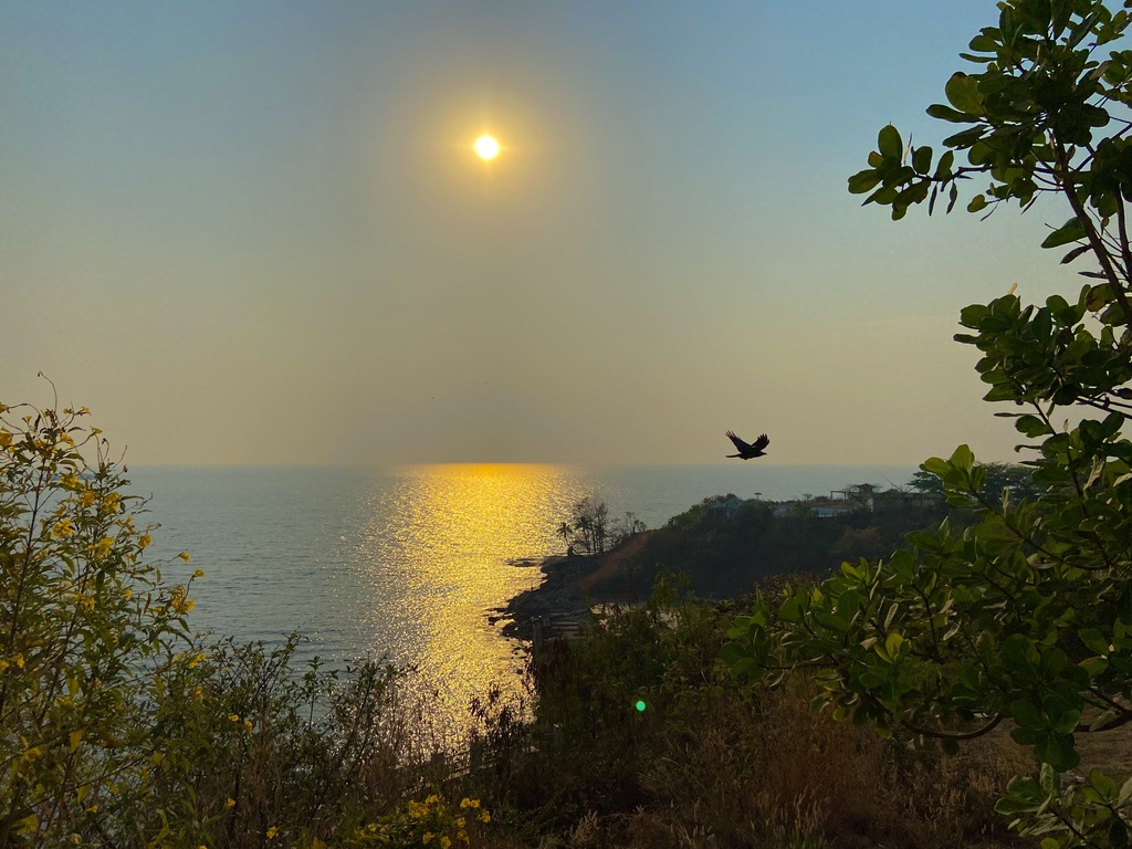travel diary
