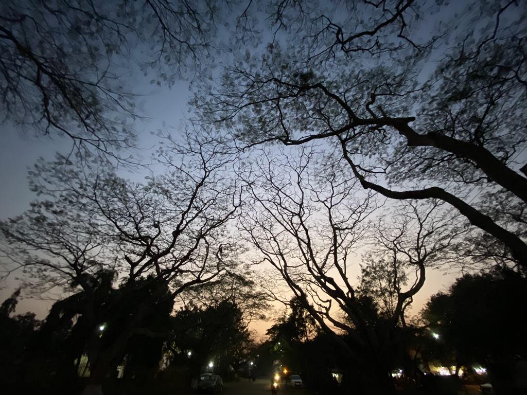 travel diary