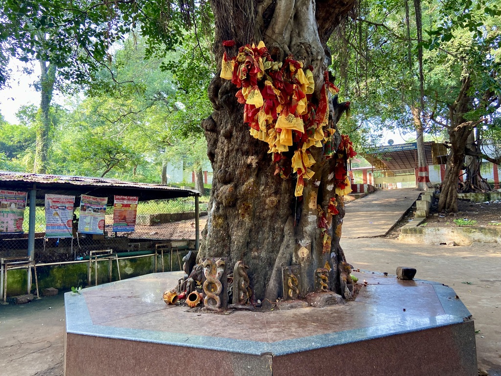 travel diary