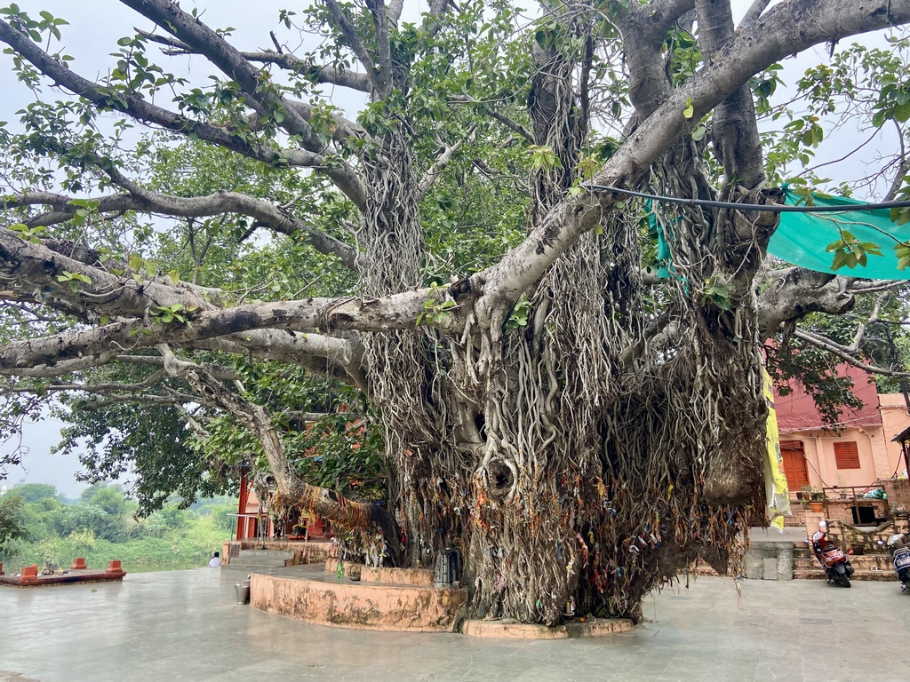 travel diary