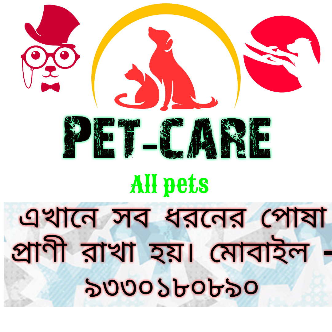 Animal Shelter Worker Mr. Tanmoy Dey in Muragacha